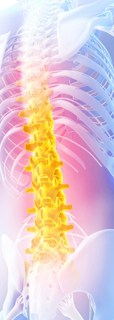 spine center