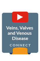 Veins Valves Venous Disease